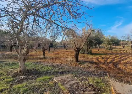Camino los caleros, Puertollano en Puertollano