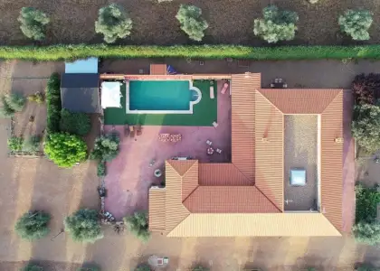 CASA de CAMPO con OLIVAR en Piedrabuena