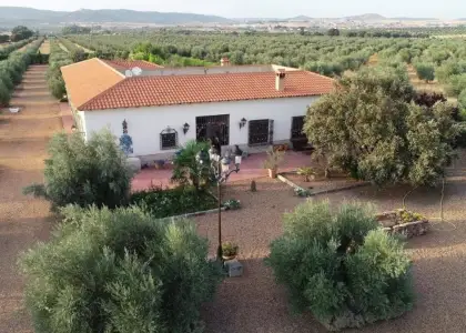 CASA de CAMPO con OLIVAR en Piedrabuena