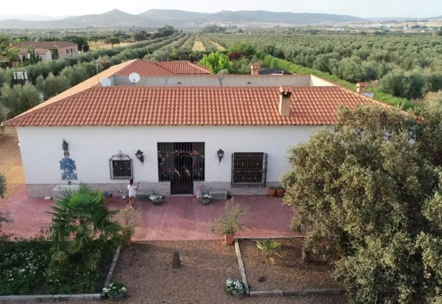CASA de CAMPO con OLIVAR en Piedrabuena