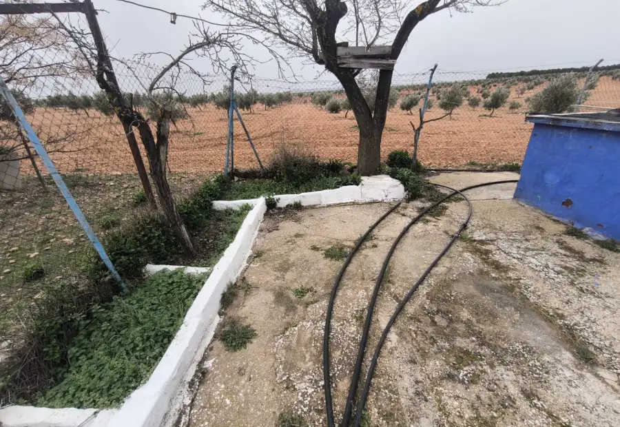 Casa de Campo en Valdepeñas, Carretera Santa Cruz en Valdepeñas