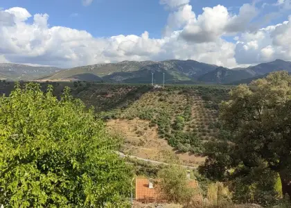 Casa de pueblo en Fuencaliente