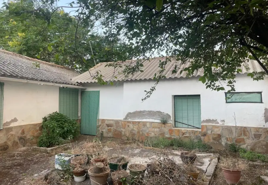 Casa en Argamasilla de Calatrava en Argamasilla de Calatrava