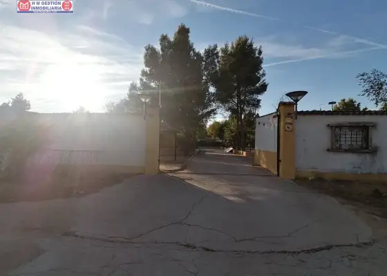 Casa en el campo sobre parcela de 30.000 metros con 400 olivos y casa en Ctra. Manzanares en Alcázar de San Juan