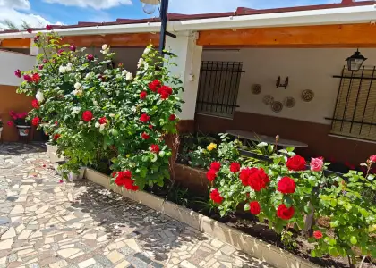 Chalet en Venta con terreno en Carretera El Villar en Puertollano
