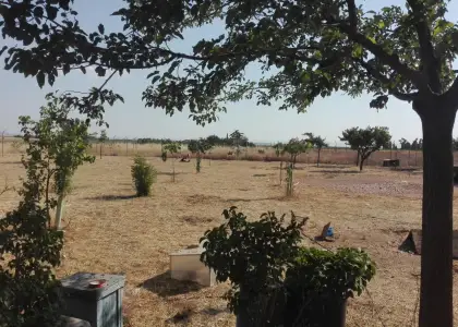 Chalet en venta en Manzanares en Manzanares
