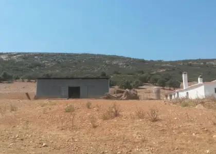 Excelente finca de caza bien comunicada en proximidad almodovar en Almodóvar del Campo