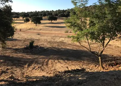 Excelente finca de caza bien comunicada en proximidad almodovar en Almodóvar del Campo