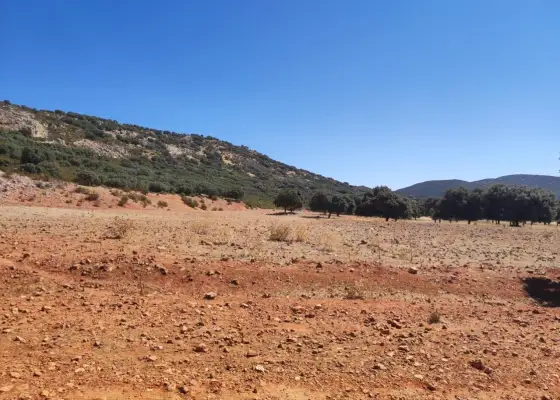 Excelente finca de caza bien comunicada en proximidad almodovar en Almodóvar del Campo