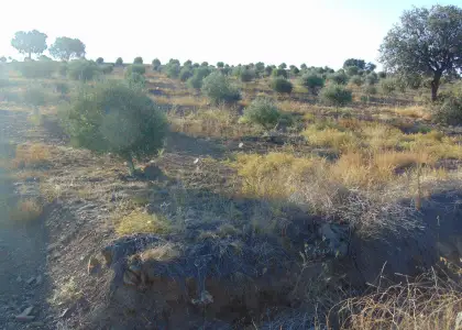 Finca Rústica en Aldeaquemada, Aldequemada en Aldeaquemada