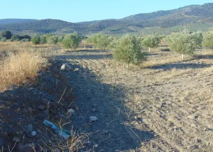 Finca Rústica en Aldeaquemada, Aldequemada en Aldeaquemada