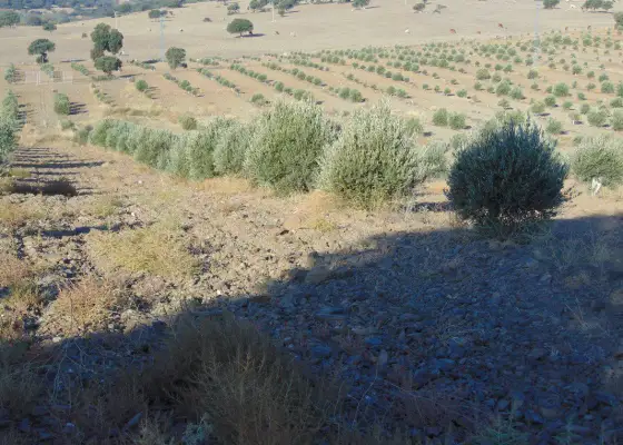 Finca Rústica en Aldeaquemada, Aldequemada