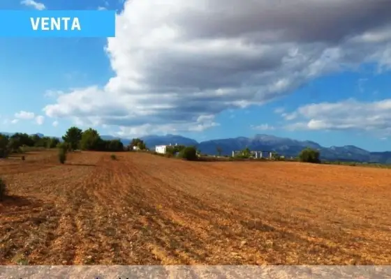 Finca Rústica en Explotación - Puertollano