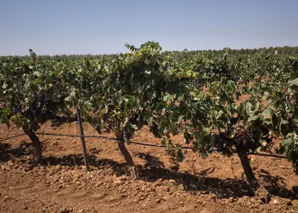 Finca Rústica en Valdepeñas, Aguas en Valdepeñas