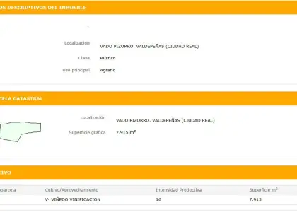 Finca Rústica en Valdepeñas, Baños del Peral en Valdepeñas