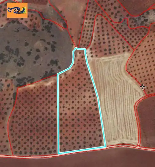 Finca Rústica en Valdepeñas, Carretera de Cozar en Valdepeñas