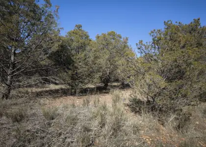 Finca Rústica en Valdepeñas, Carretera Infantes en Valdepeñas