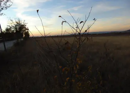 Finca Rústica en Valdepeñas, Carretera Infantes en Valdepeñas
