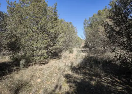 Finca Rústica en Valdepeñas, Carretera Infantes en Valdepeñas