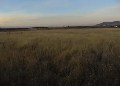 Finca Rústica en Valdepeñas, Carretera Infantes en Valdepeñas