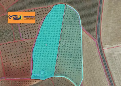 Finca Rústica en Valdepeñas, Carretera Torre Nueva en Valdepeñas