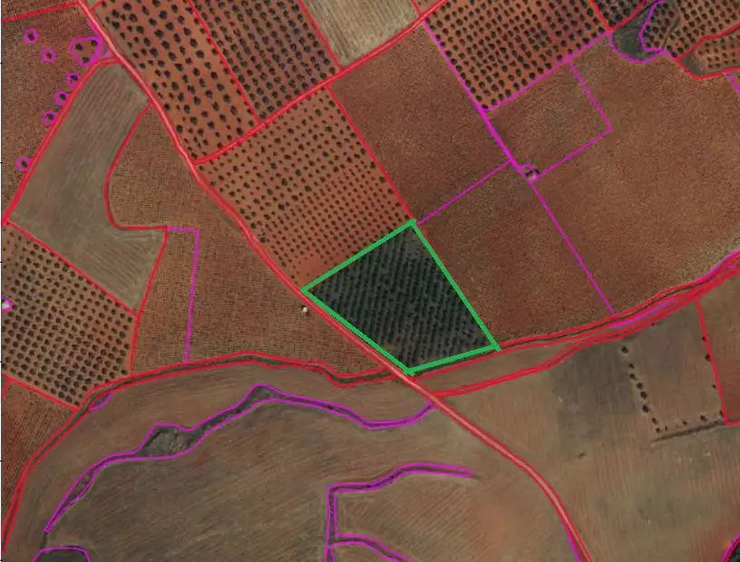 Finca Rústica en Valdepeñas, Carretera Torre Nueva en Valdepeñas