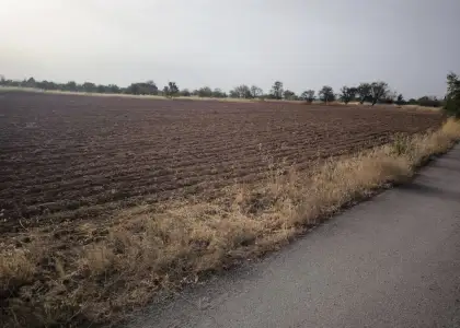 Finca Rústica en Valdepeñas, Valdepeñas en Valdepeñas