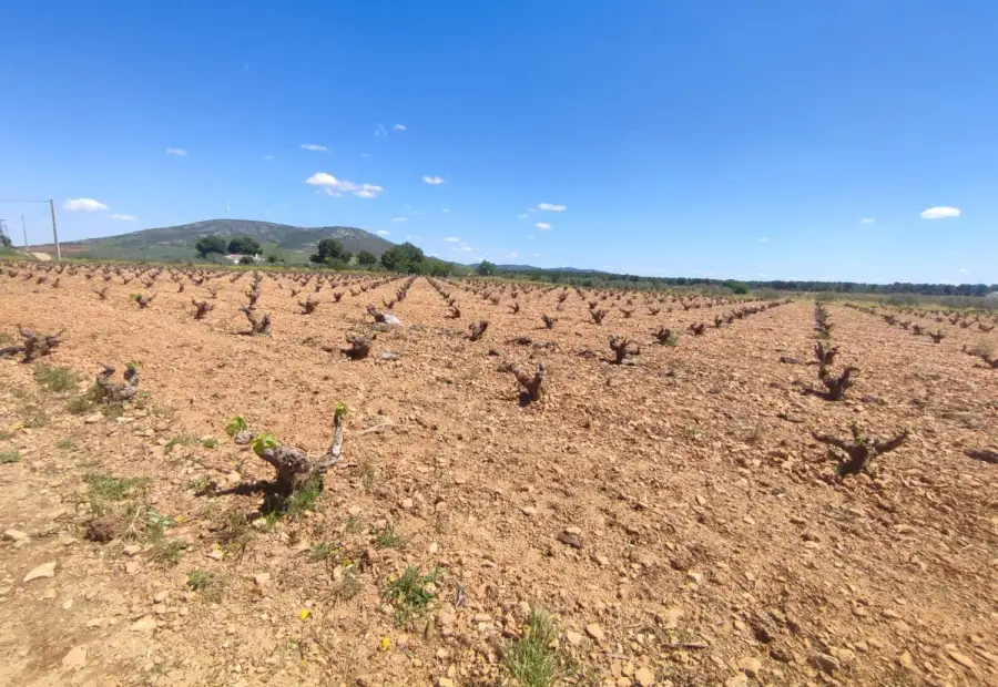 Finca Rústica en Valdepeñas, Valdepeñas en Valdepeñas