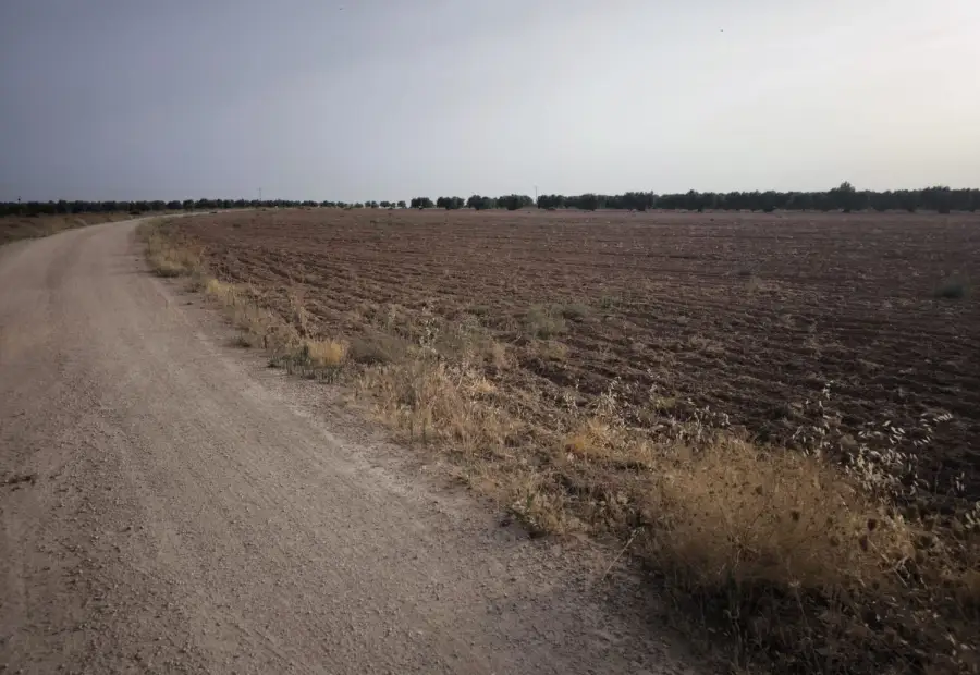Finca Rústica en Valdepeñas, Valdepeñas en Valdepeñas