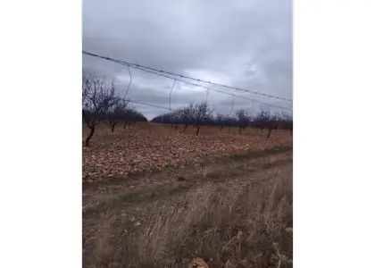 Finca rústica en venta en Daimiel en Daimiel