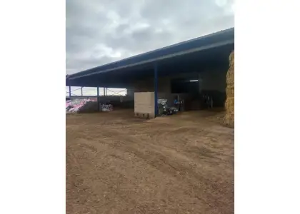 Finca rústica en venta en Daimiel en Daimiel