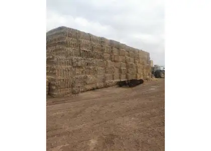 Finca rústica en venta en Daimiel en Daimiel