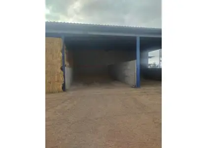 Finca rústica en venta en Daimiel en Daimiel