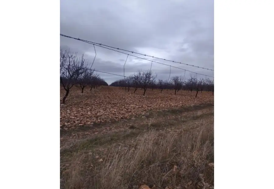Finca rústica en venta en Daimiel en Daimiel