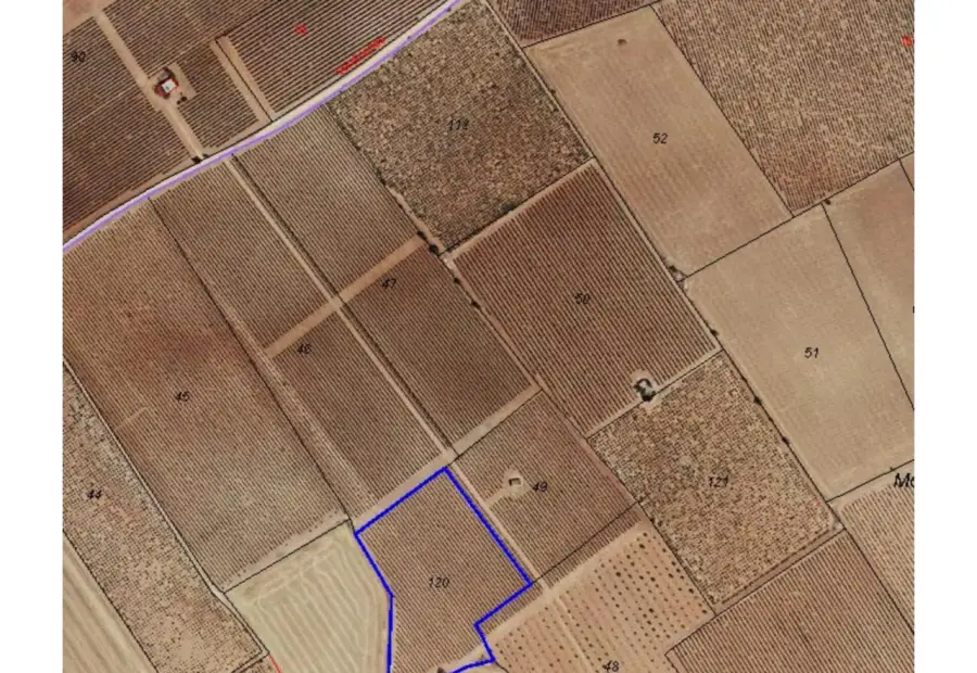 Finca rústica en venta en Daimiel en Daimiel