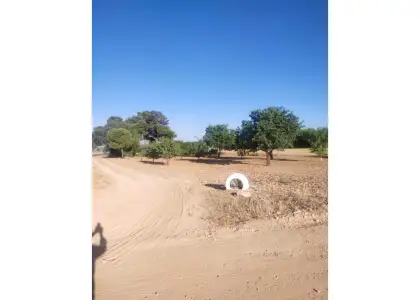 Finca rústica en venta en Manzanares en Manzanares