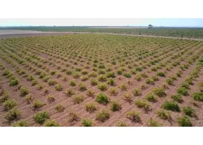 Finca rústica en venta en Manzanares en Manzanares