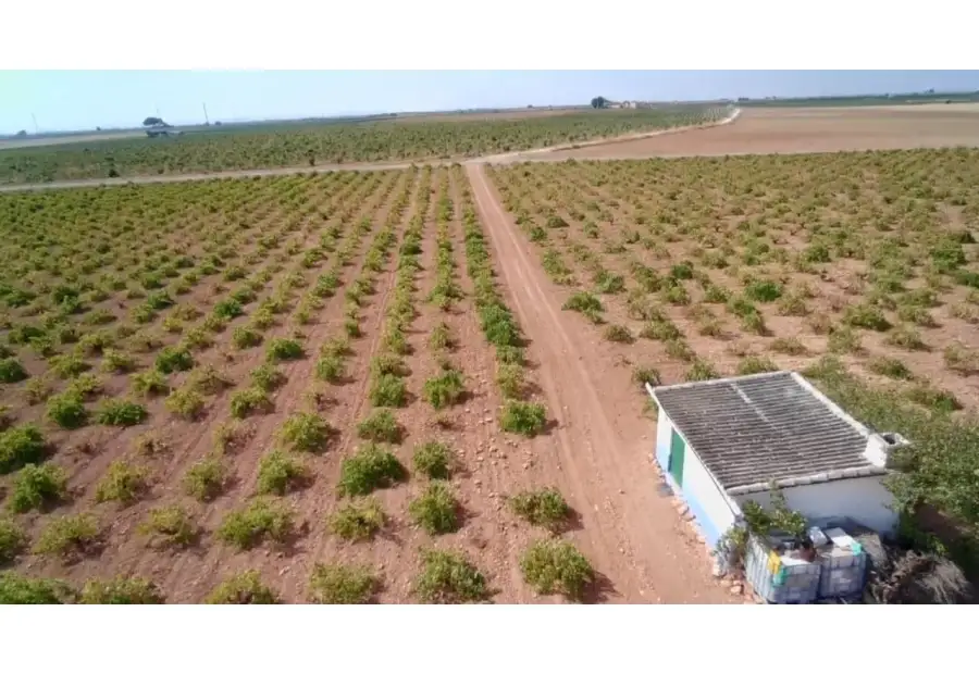 Finca rústica en venta en Manzanares en Manzanares
