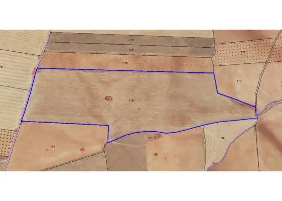 Finca rústica en venta en Manzanares