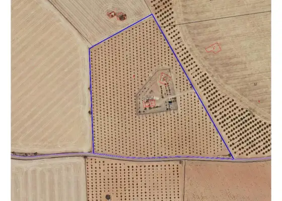 Finca rústica en venta en Manzanares