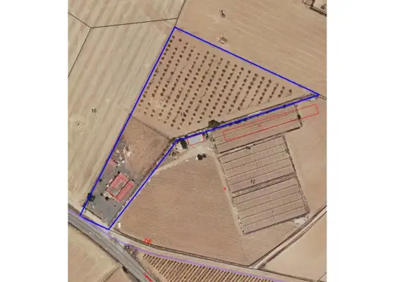 Finca rústica en venta en Manzanares