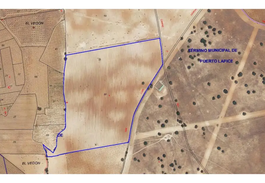 Finca rústica en venta en Puerto Lápice en Puerto Lápice