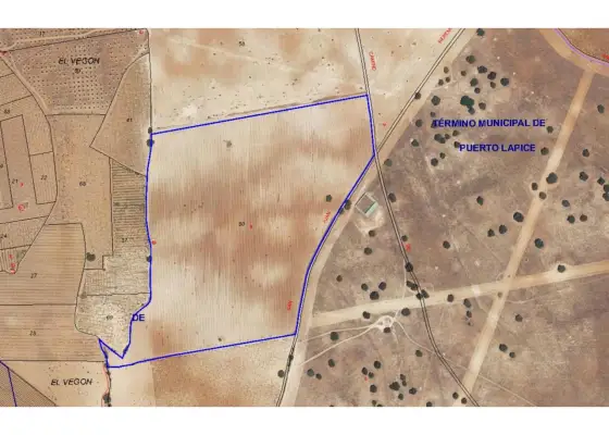 Finca rústica en venta en Puerto Lápice