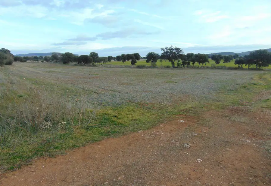 Finca Rústica en Viso Del Marques, Bazán en Viso del Marqués
