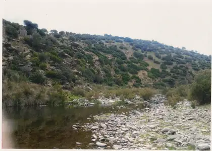 Finca rústica - Mestanza en Mestanza