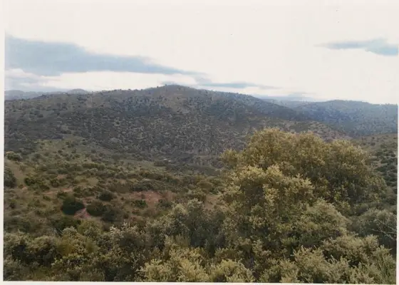 Finca rústica - Mestanza