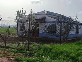 Finca Rústica Venta Carretera Daimiel, Valdepeñas