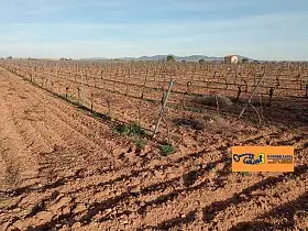 Finca Rústica Venta Carretera Daimiel, Valdepeñas