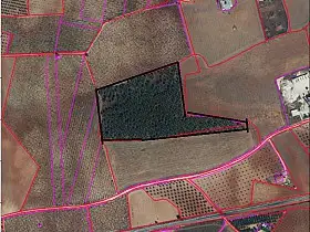 Finca Rústica Venta Carretera Infantes, Valdepeñas