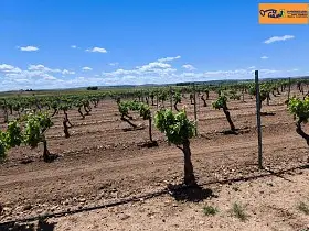 Finca Rústica Venta Carretera Moral, Valdepeñas